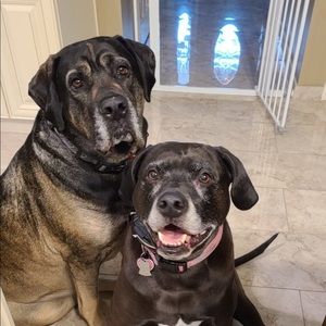 Meet your Posher, Patricia